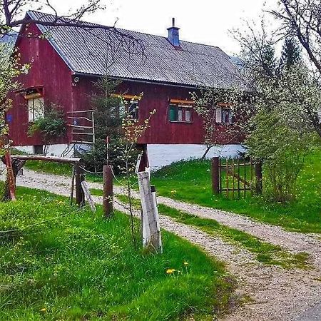 Draga Koncar Guest House Vrelo Koreničko Екстериор снимка