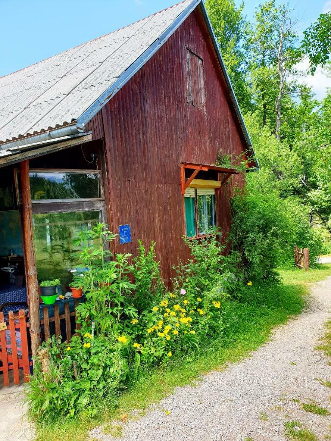 Draga Koncar Guest House Vrelo Koreničko Екстериор снимка