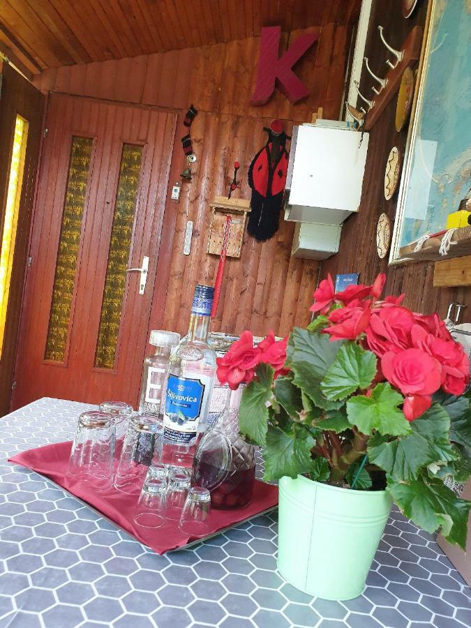Draga Koncar Guest House Vrelo Koreničko Екстериор снимка