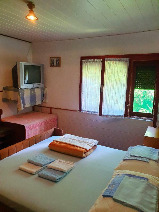 Draga Koncar Guest House Vrelo Koreničko Екстериор снимка