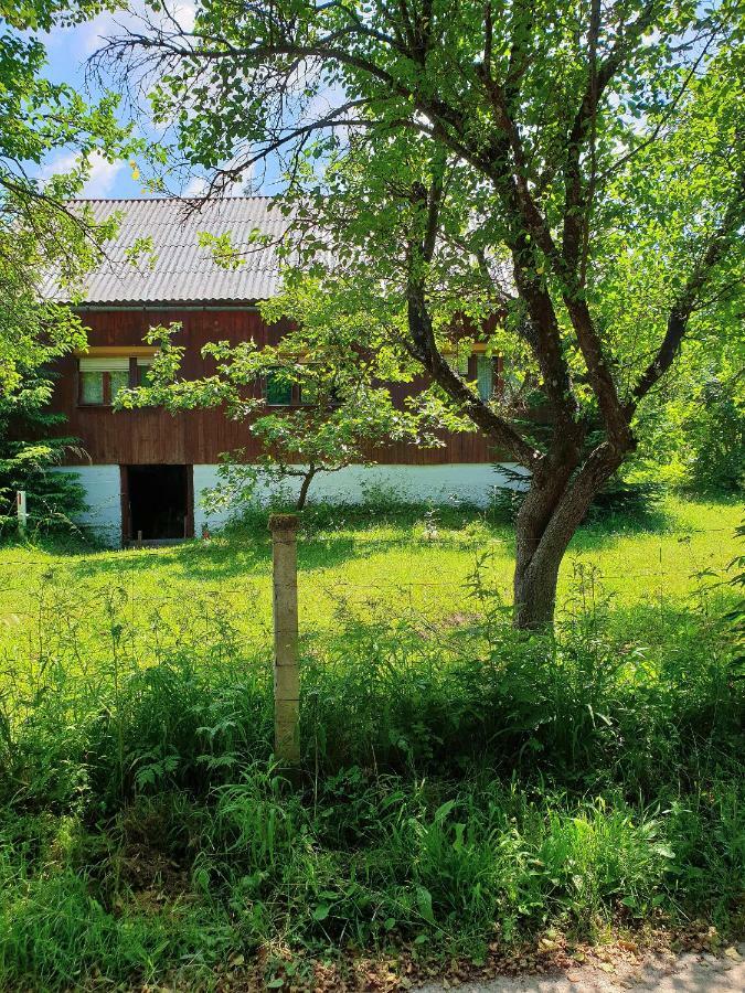 Draga Koncar Guest House Vrelo Koreničko Екстериор снимка