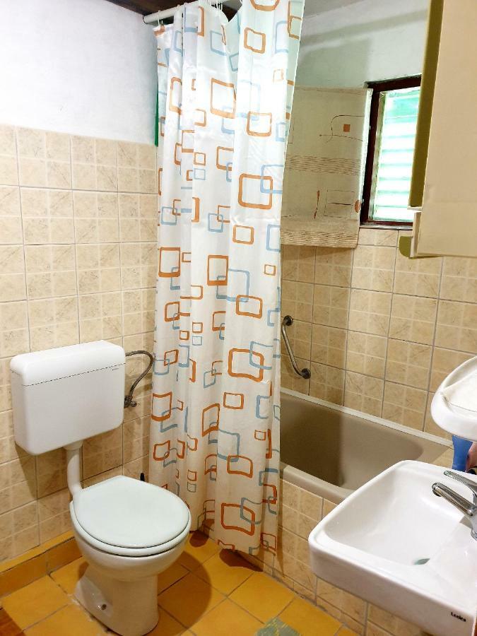 Draga Koncar Guest House Vrelo Koreničko Екстериор снимка