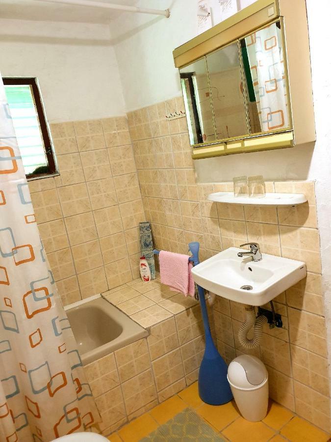 Draga Koncar Guest House Vrelo Koreničko Екстериор снимка