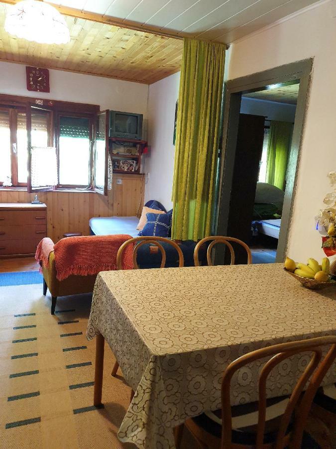 Draga Koncar Guest House Vrelo Koreničko Екстериор снимка